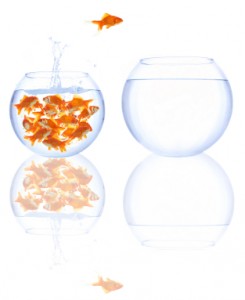 The problem of professionalism